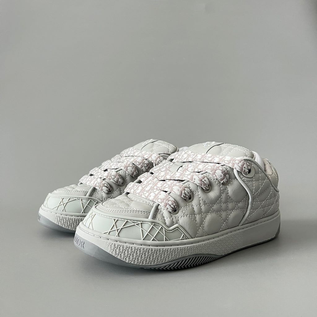 Dior B9s Skater Sneaker Limited and Numbered Edition #315016