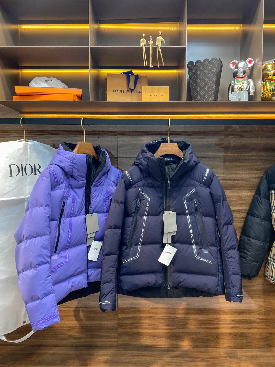 Dior Men's Fall And Winter Zipper Hooded Ski Puffer Down Jacket #96969