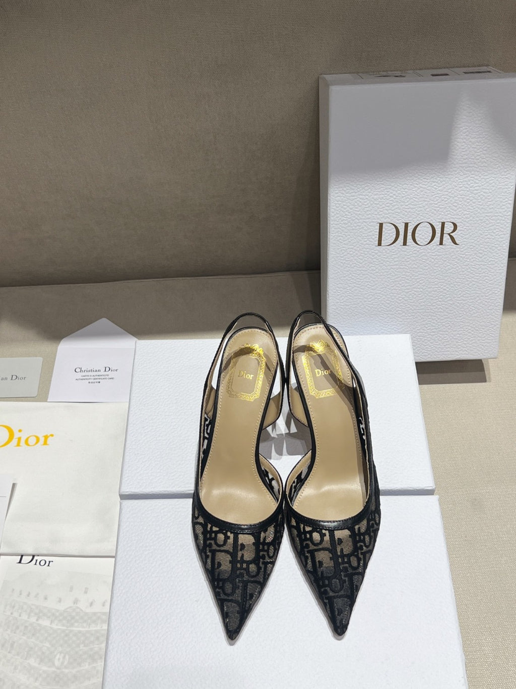 DIOR Adiorable Slingback Pump Black Dior Oblique Embroidered Mesh #380126