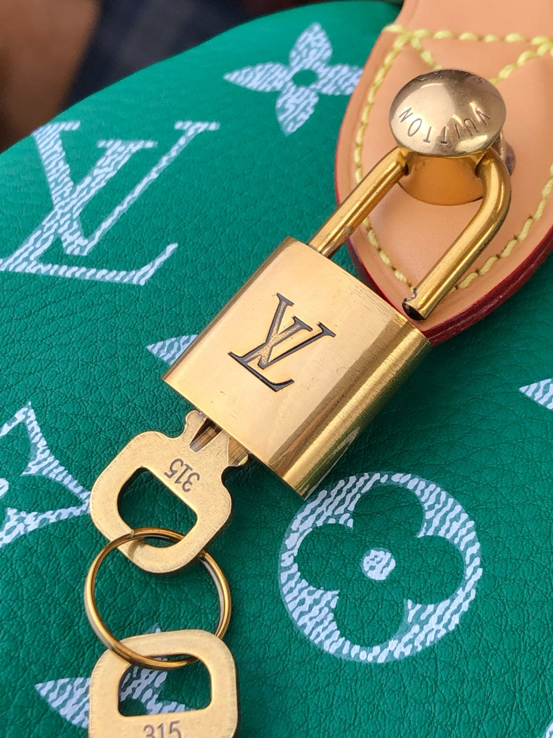 Louis Vuitton Women's Fashion Classic Grass Green Logo Zipper Closure Leather Shoulder Bag Handbags In Small Medium And Large Sizes Crossbody Bag Bags #78661
