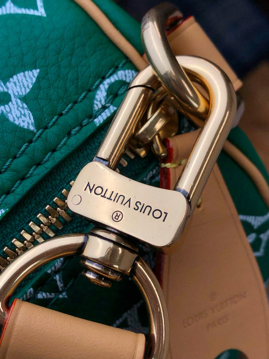 Louis Vuitton Women's Fashion Classic Grass Green Logo Zipper Closure Leather Shoulder Bag Handbags In Small Medium And Large Sizes Crossbody Bag Bags #78661