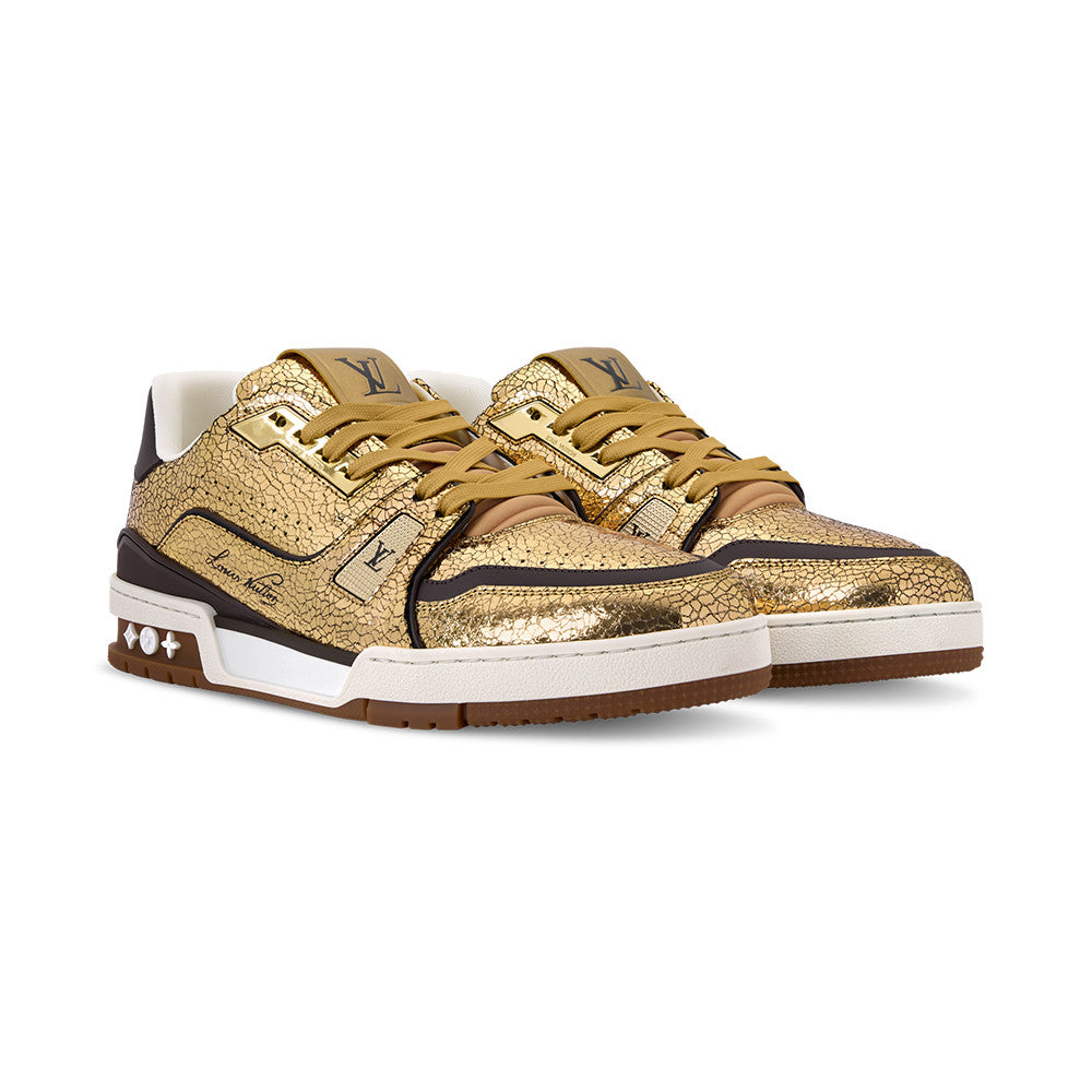 Louis Vuitton LV Trainer Sneaker Shoes 1AJA00#336026