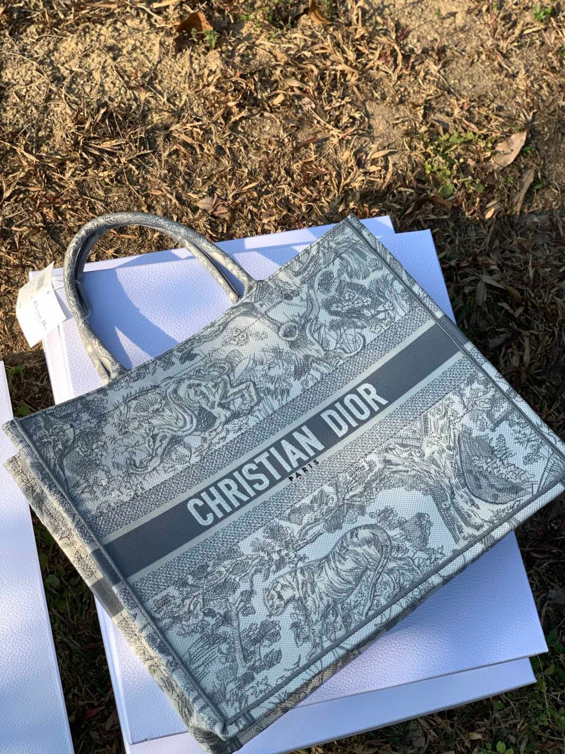 Dior Women's Classic Fashion Large Book Tote Printed Embroidered Pattern Tote Bag Handbag Shopping Bag Bags #78273