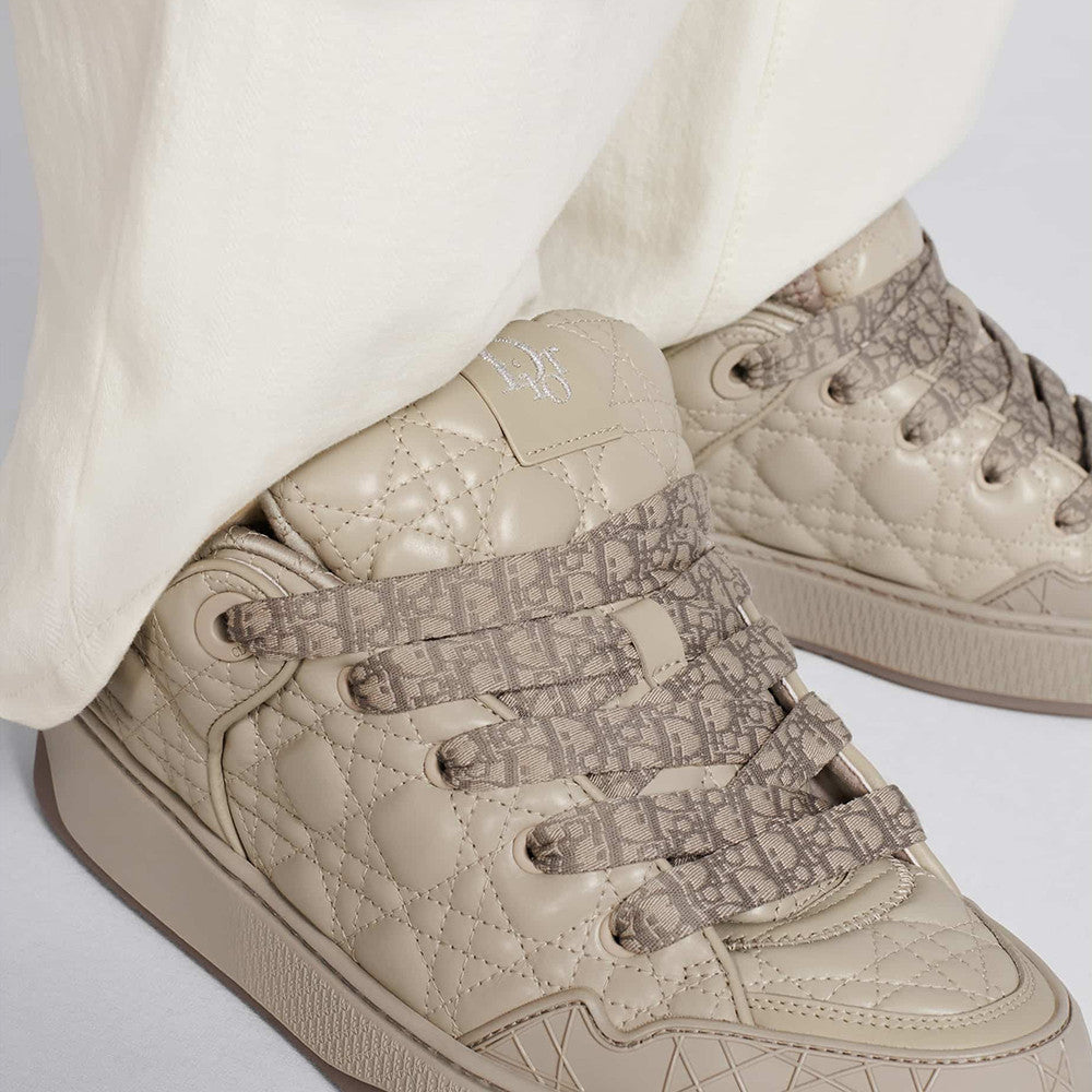 Dior B9s Skater Sneaker Limited and Numbered Edition #315016
