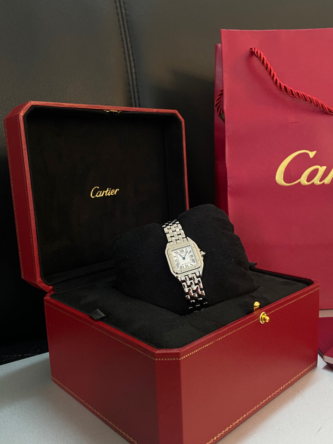 Cartier Cheetah Collection Silver Fashion Small Square Watch #96317