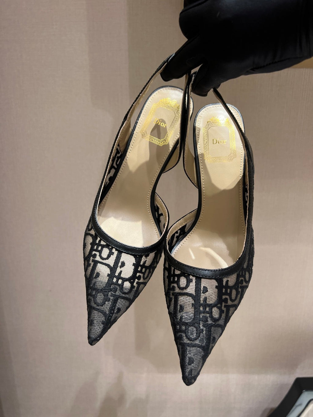 DIOR Adiorable Slingback Pump Black Dior Oblique Embroidered Mesh #380126