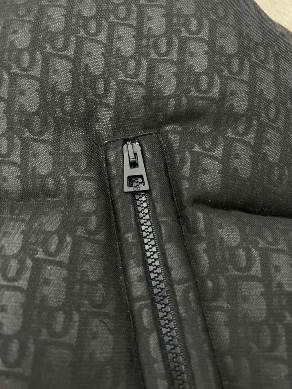 Dior ALPS Leather Printed Sleeveless Down Vest #96475