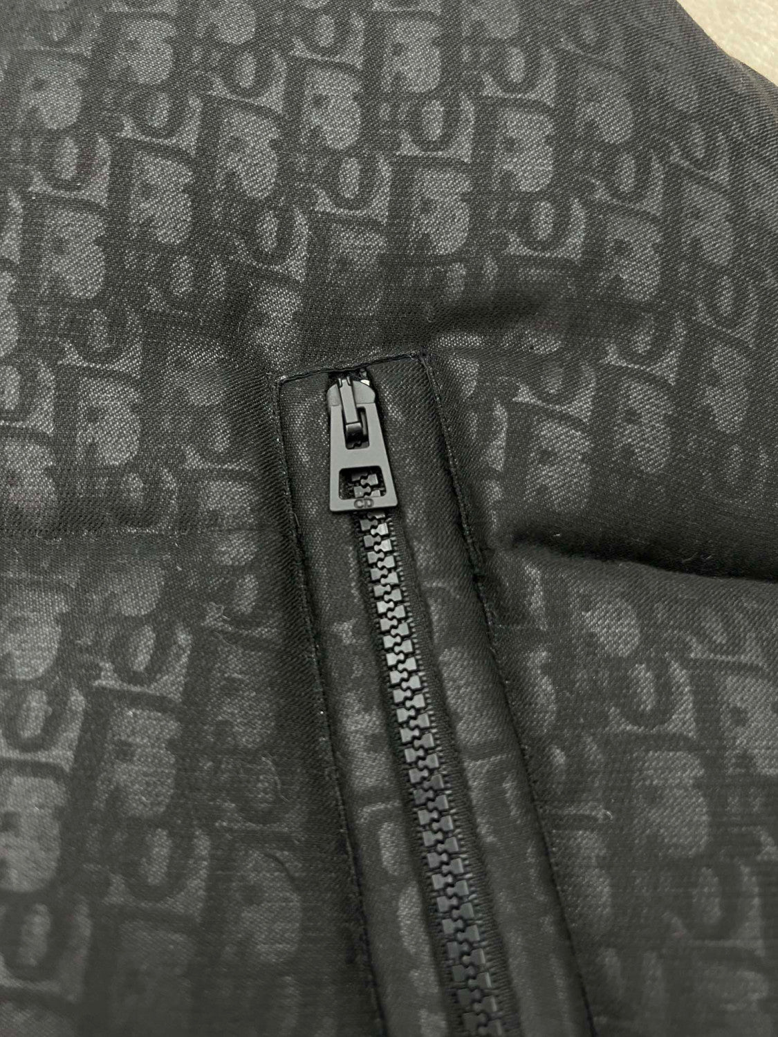 Dior ALPS Leather Printed Sleeveless Down Vest #96475