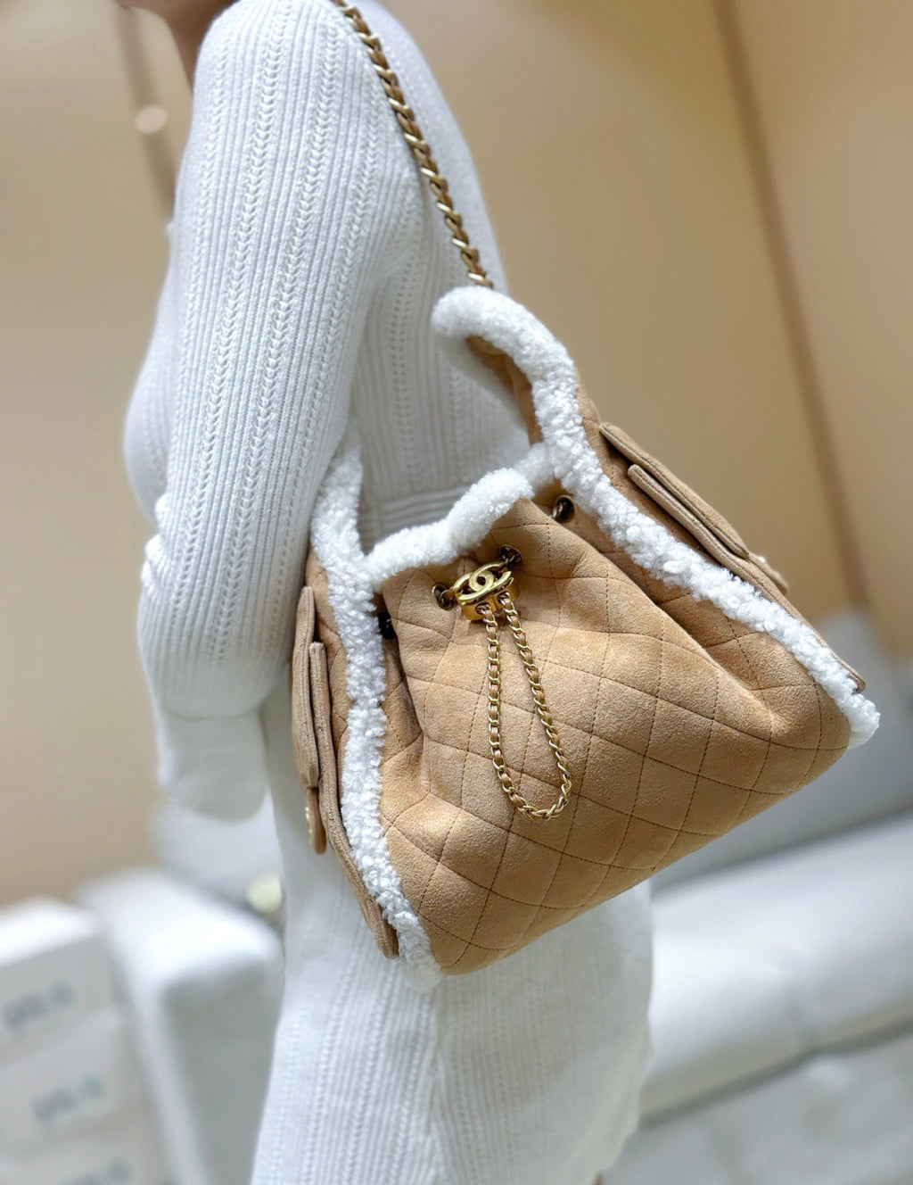 Chanel 25K Teddy Handbag #376285