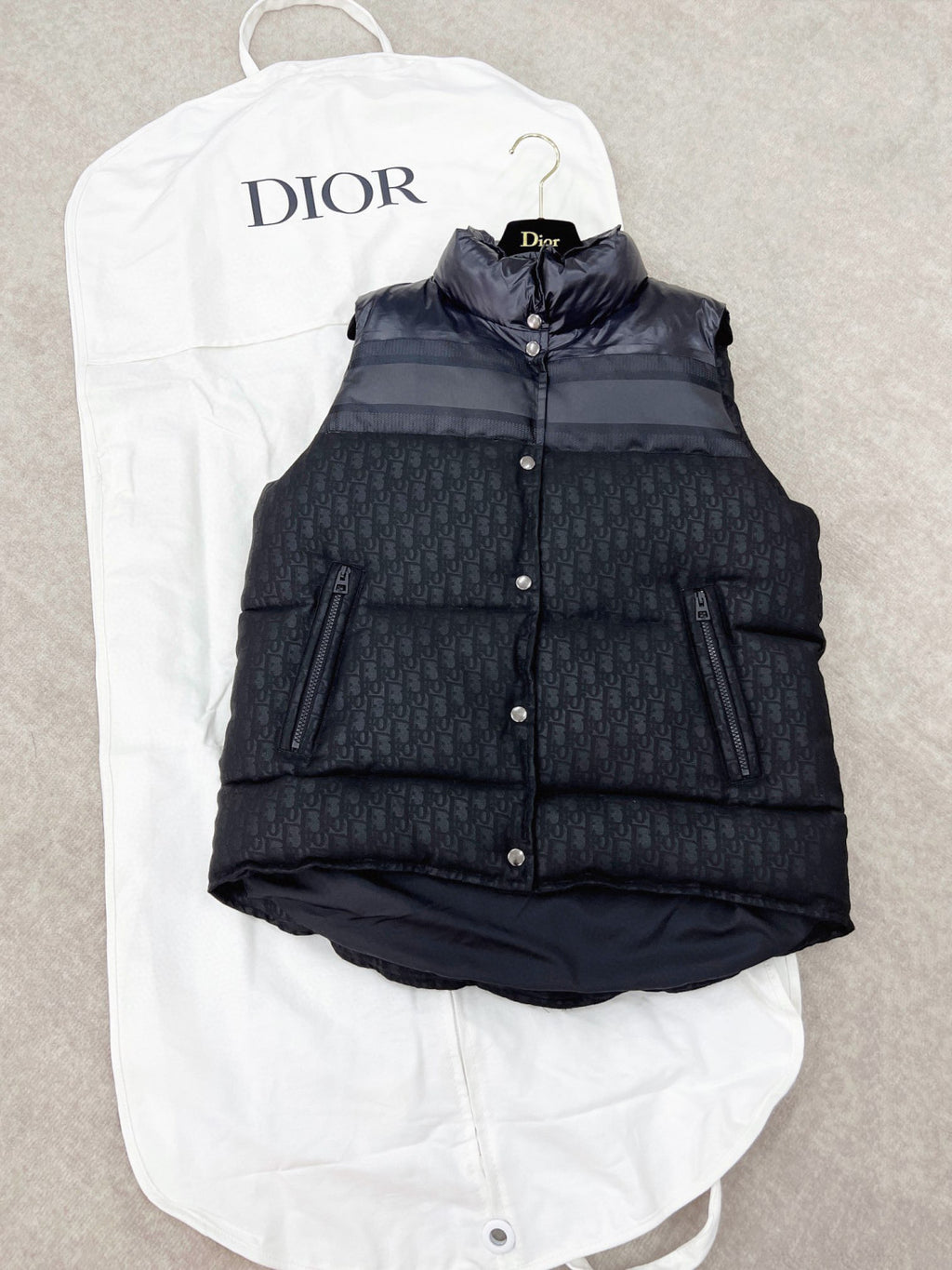 Dior ALPS Leather Printed Sleeveless Down Vest #96475