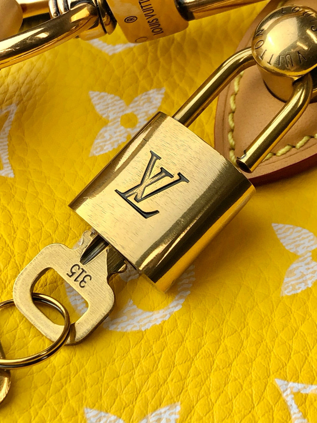 Louis Vuitton Women's Fashion Classic Yellow Logo Zipper Closure Leather Shoulder Bag Handbags In Small Medium And Large Sizes Crossbody Bag Bags #78662