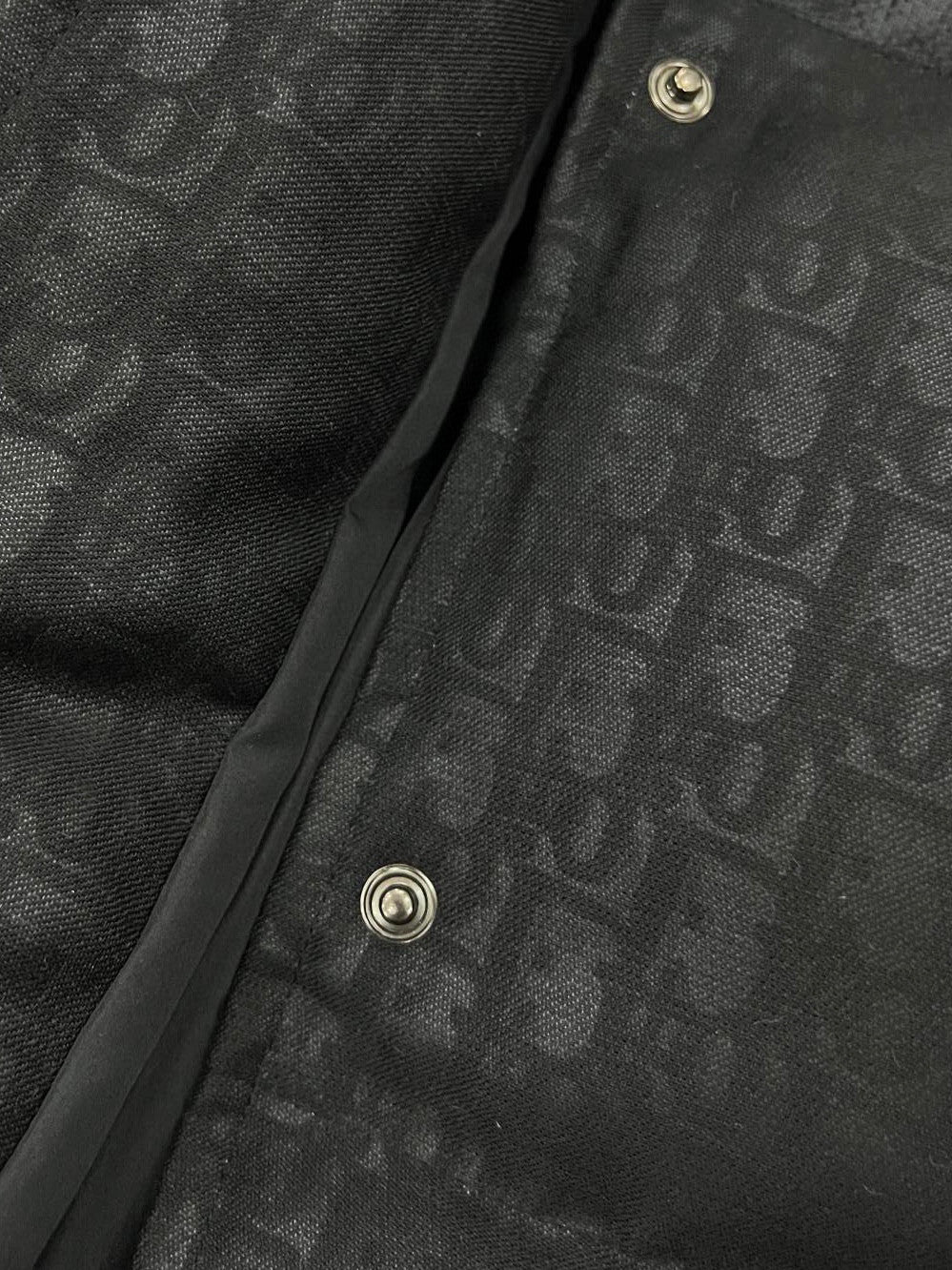 Dior ALPS Leather Printed Sleeveless Down Vest #96475