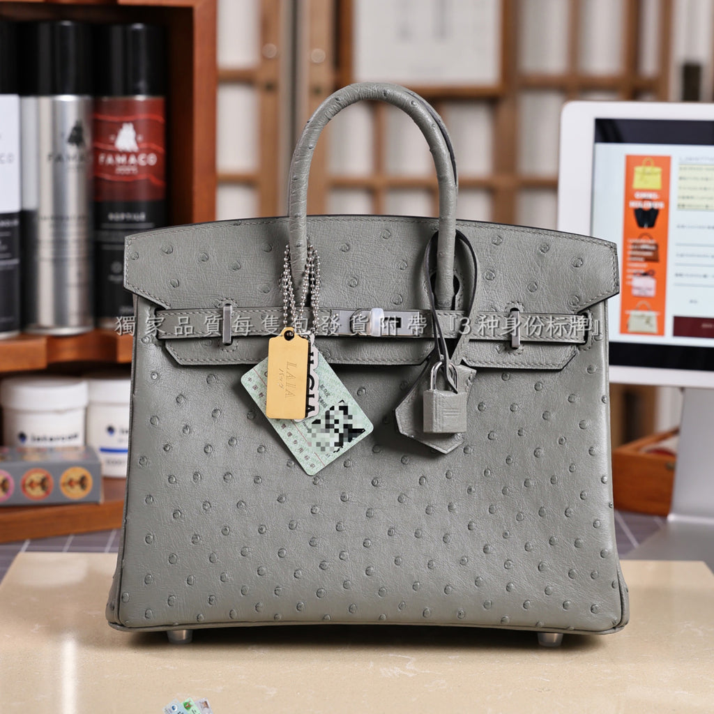 Hermes Women's Birkin 25 Ostrich Leather Platinum Bag With Silver Buckle Handbag Casual Solid Color Bag Bags H041944CK94 #2137