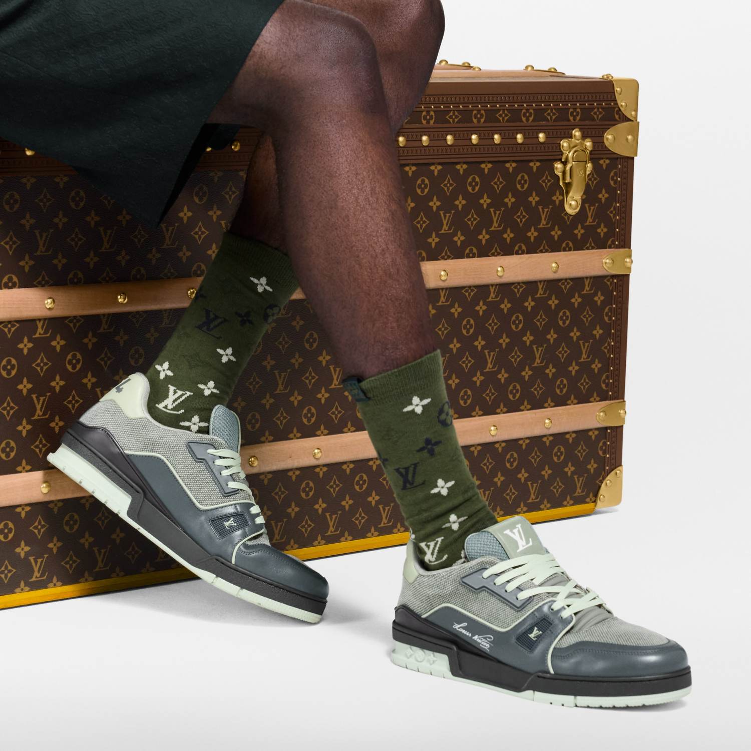 LOUIS VUITTON LV Trainer Sneaker Shoes #378550