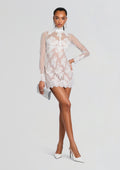 Faylin Lace Dress