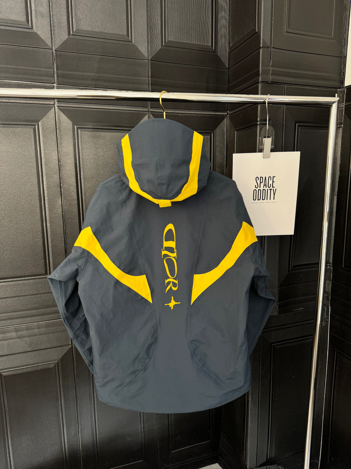 Dior Lewis Hamilton Ski Parka Pants #333838