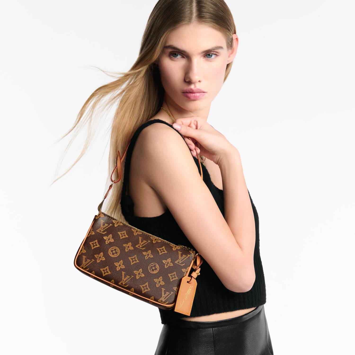 LOUIS VUITTON Pochette Accessoires Monogram Canvas Bags M27718 #377233