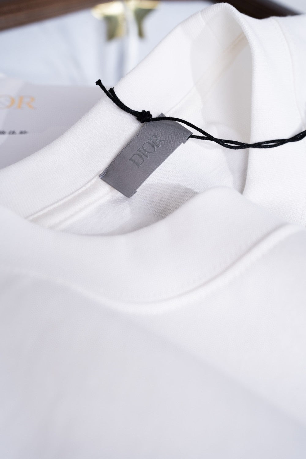 Dior Men's Summer Solid Color Embroidered Letter Logo Round Neck Cotton Short Sleeve T-Shirt #72899