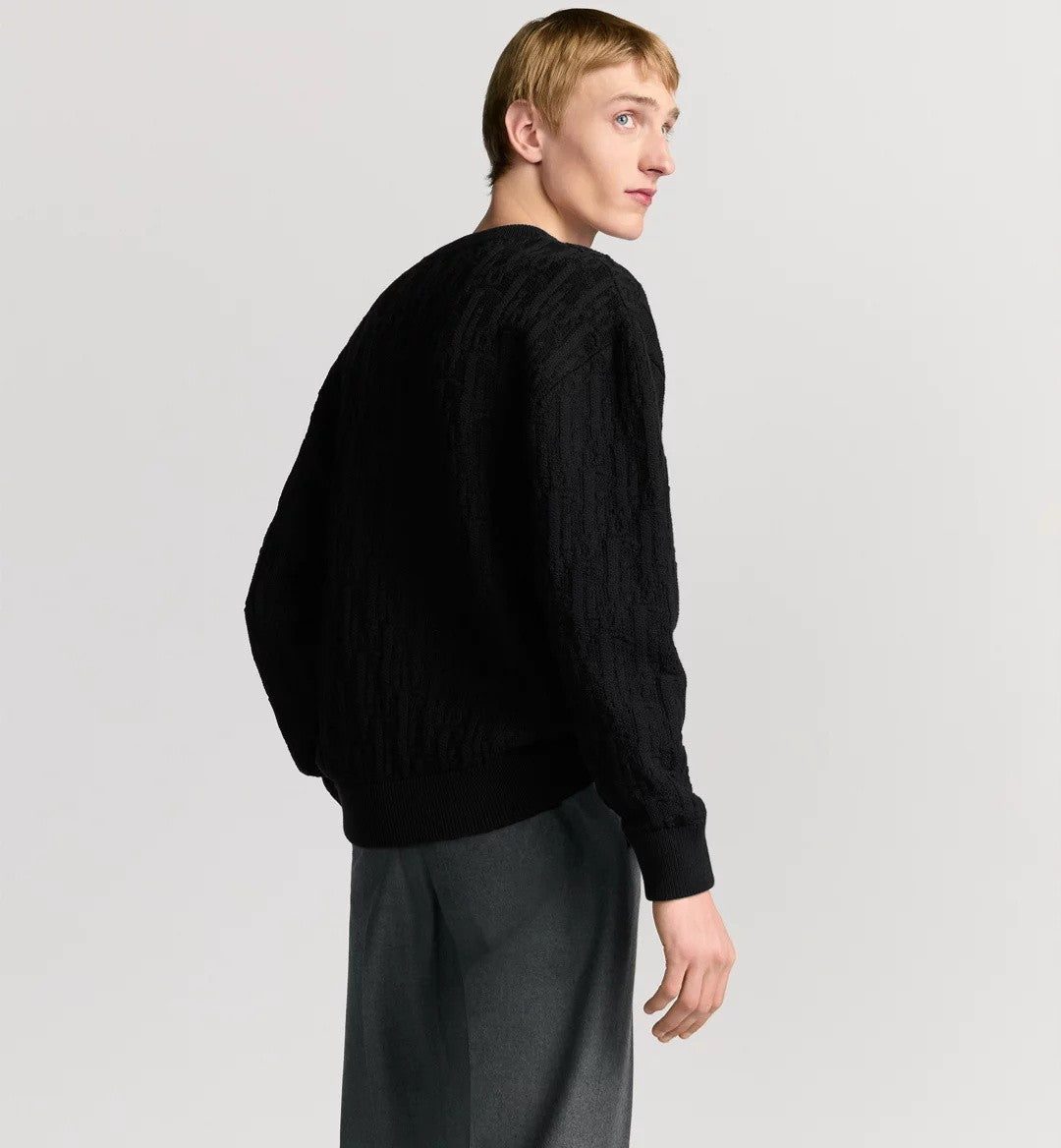 Dior Men's Fall/Winter Fashion Casual Crewneck Pullover Solid Jacquard Sweater #79314