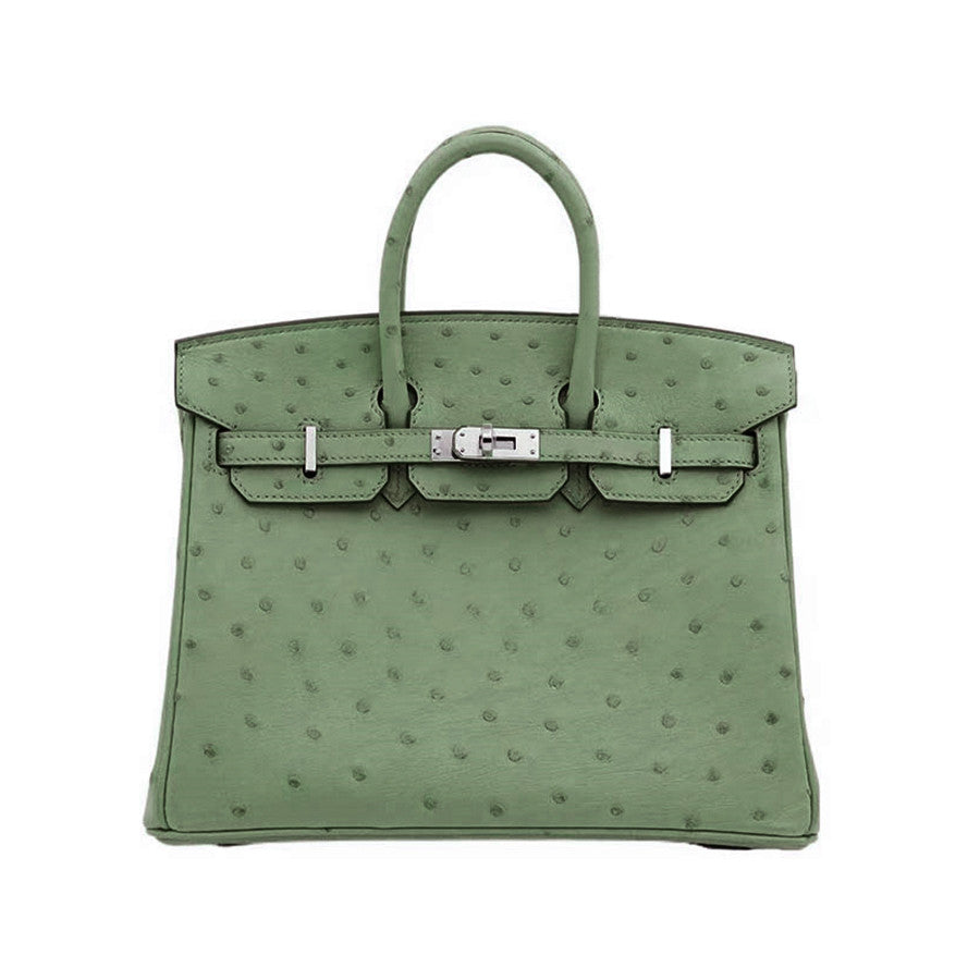 Hermes Women's Birkin 25 Ostrich Leather Platinum Bag With Silver Buckle Handbag Casual Solid Color Bag Bags H041944CK94 #2137