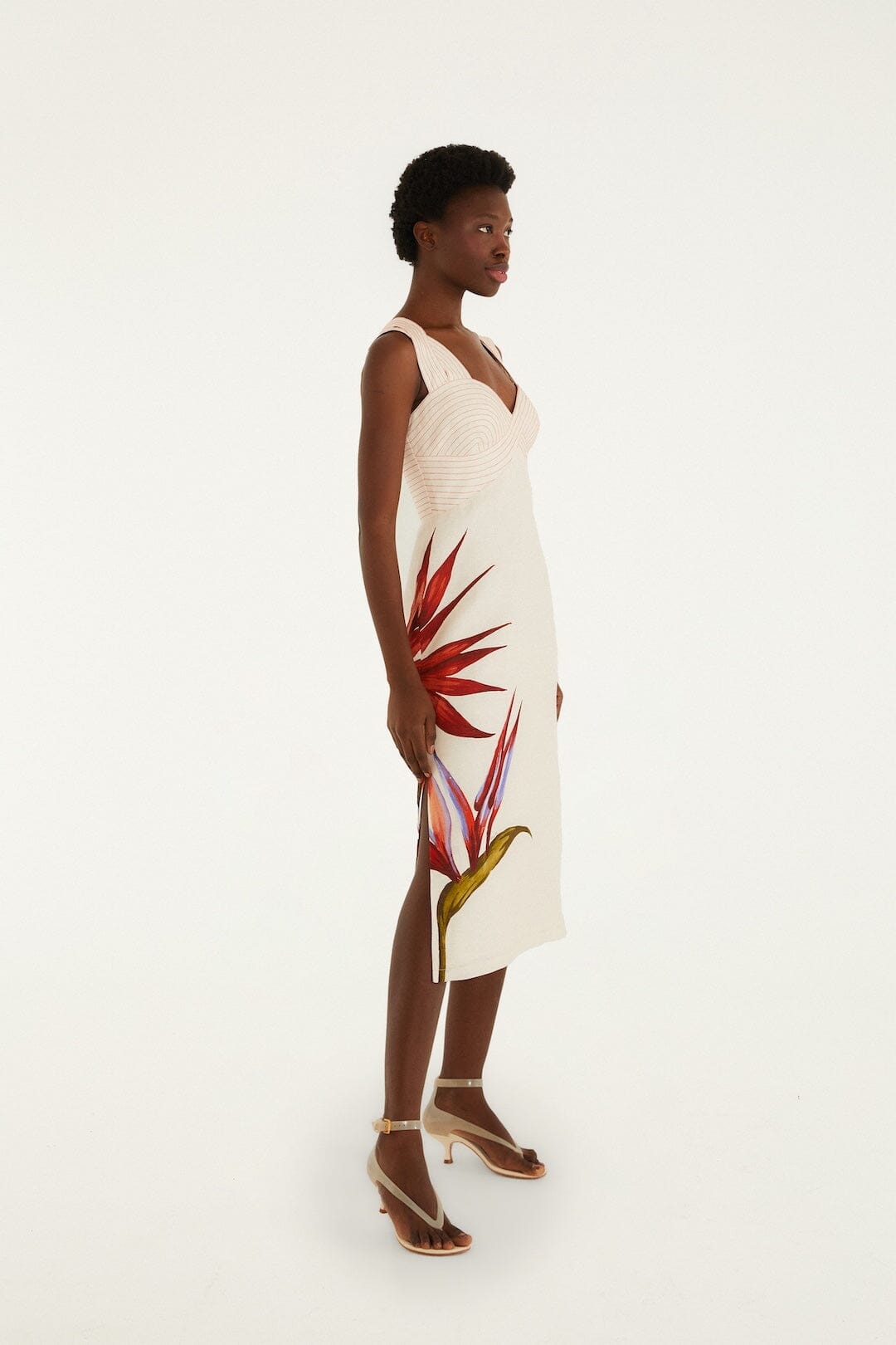 Sand Strelitzia Midi Dress