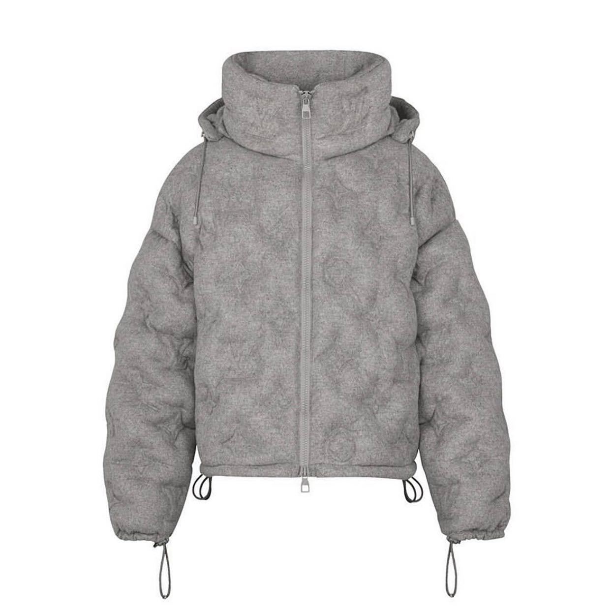 Louis Vuitton Down Jacket Coat #11168