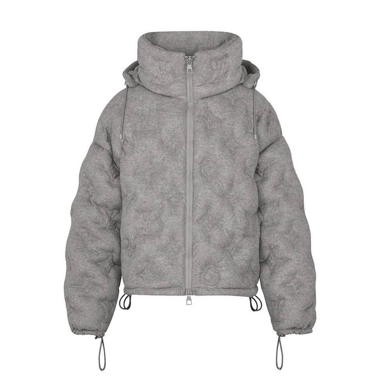 Louis Vuitton Down Jacket Coat #11168