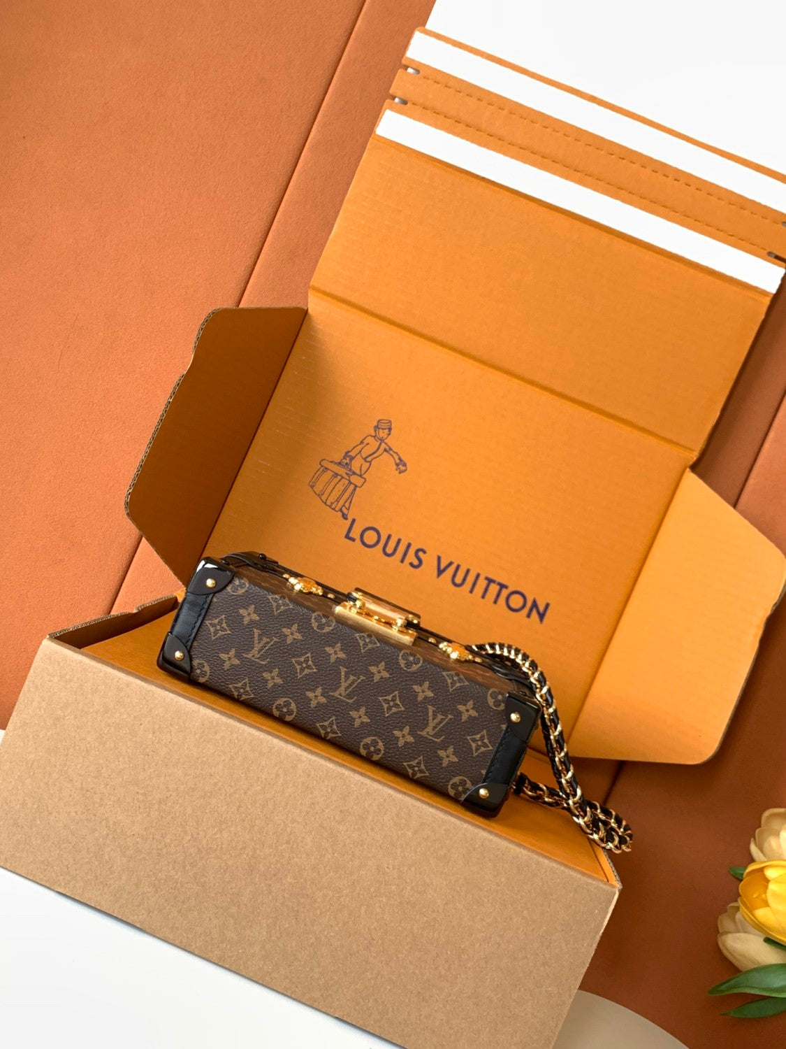Louis Vuitton PETITE MALLE Women's Brown Letter Print Removable Adjustable Simple Magnetic Clasp Canvas and Leather Trim Box Bag Handbag Shoulder Bags #77526