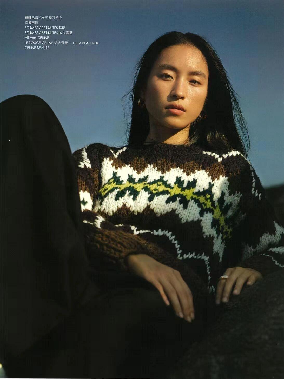 Celine TRIOMPHE Men's And Women's Autumn/winter Fashion Casual Crew Neck Pullover Fair Isle Jacquard Wool Sweater #336598