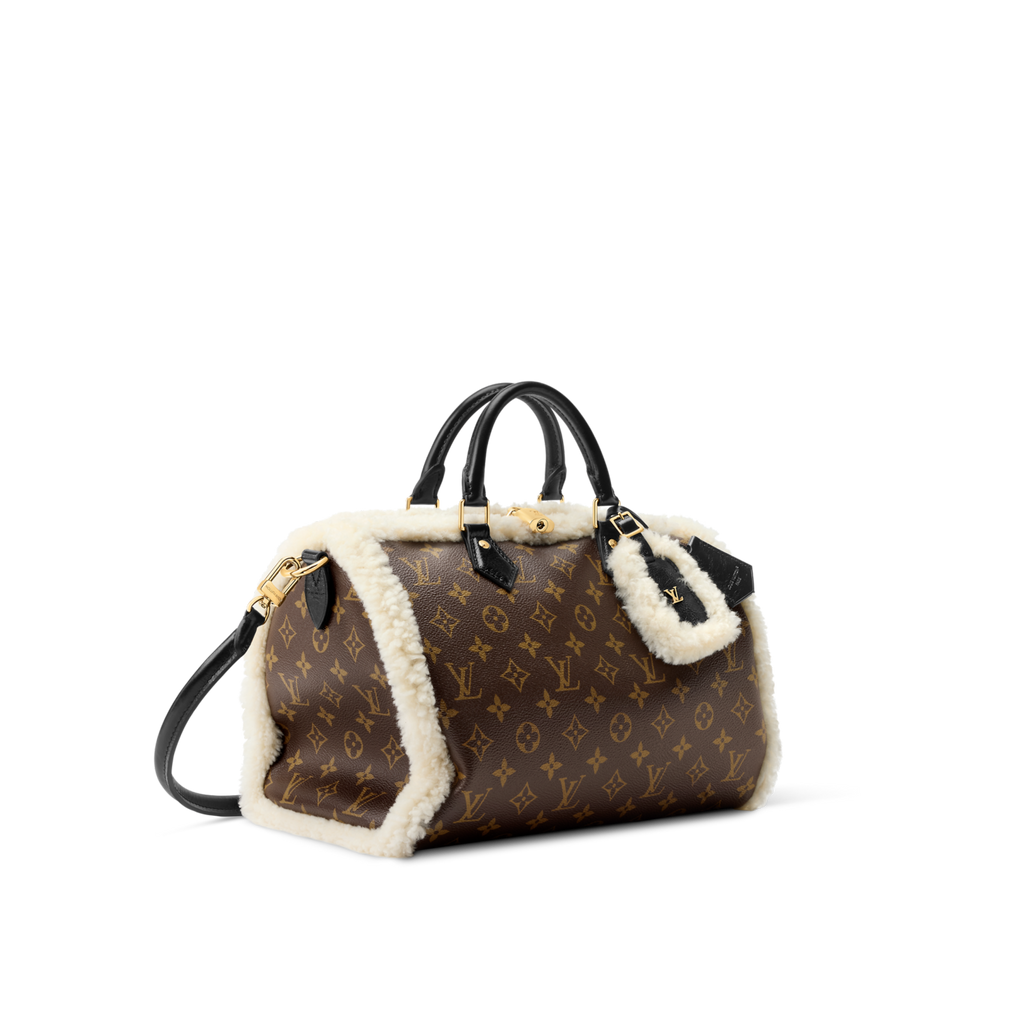 Louis Vuitton Women's Speedy Soft 30 Teddy H33 M26326 #335276