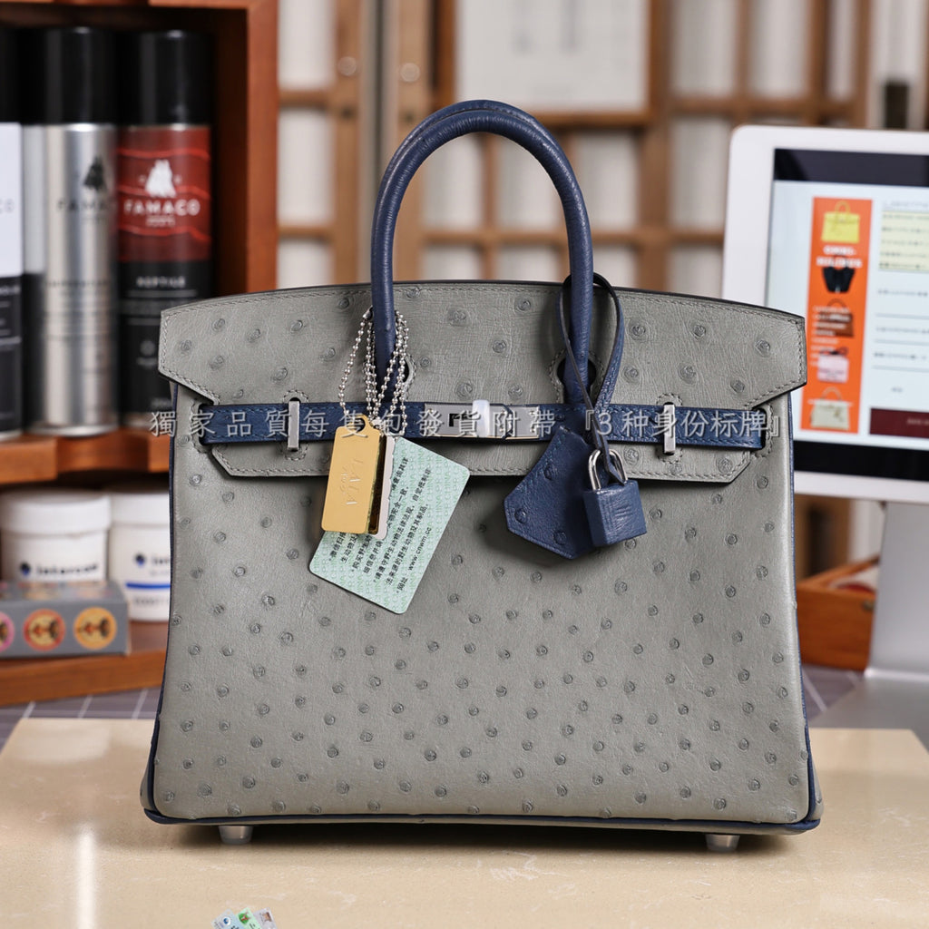 Hermes Women's Birkin 25 Ostrich Leather Platinum Bag With Silver Buckle Handbag Casual Solid Color Bag Bags H041944CK94 #2137