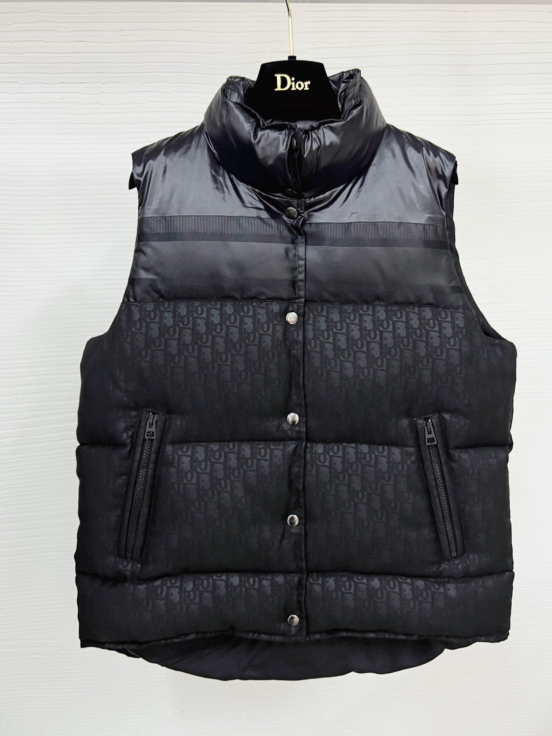 Dior ALPS Leather Printed Sleeveless Down Vest #96475
