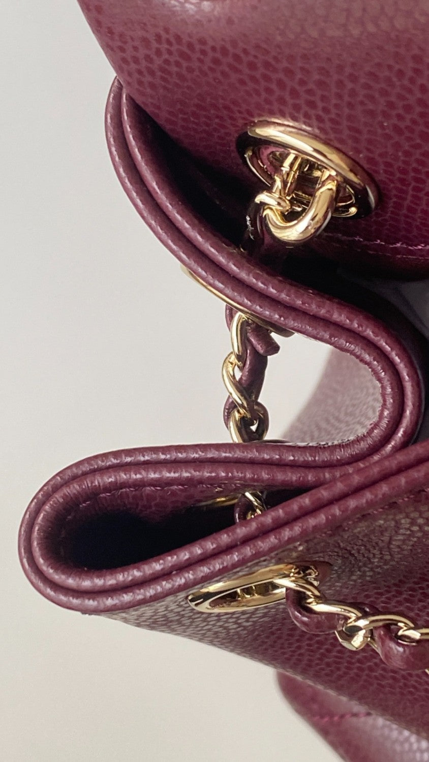 Chanel Women's Duma Bordeaux Red Leather Frog Large Backpack #332640