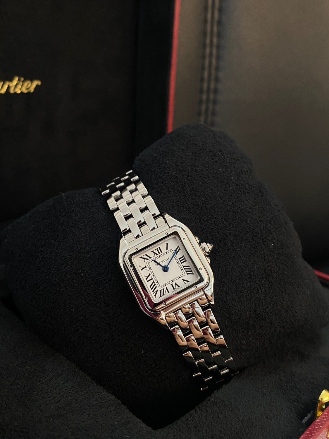 Cartier Cheetah Collection Silver Fashion Small Square Watch #96317