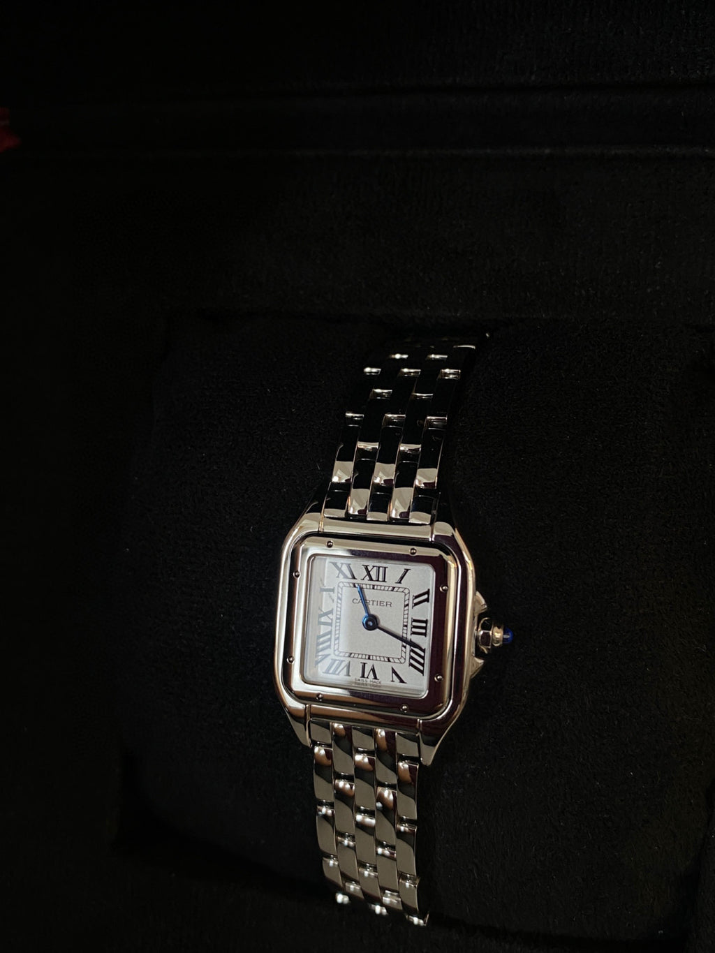 Cartier Cheetah Collection Silver Fashion Small Square Watch #96317