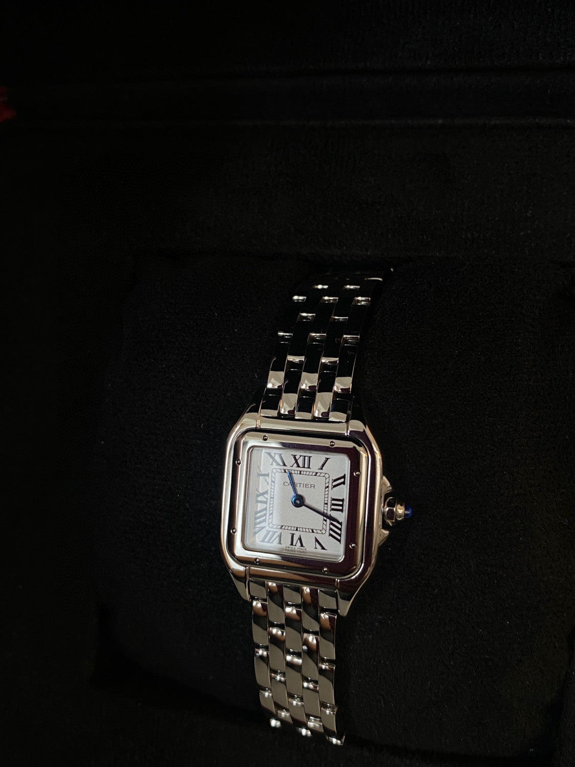 Cartier Cheetah Collection Silver Fashion Small Square Watch #96317