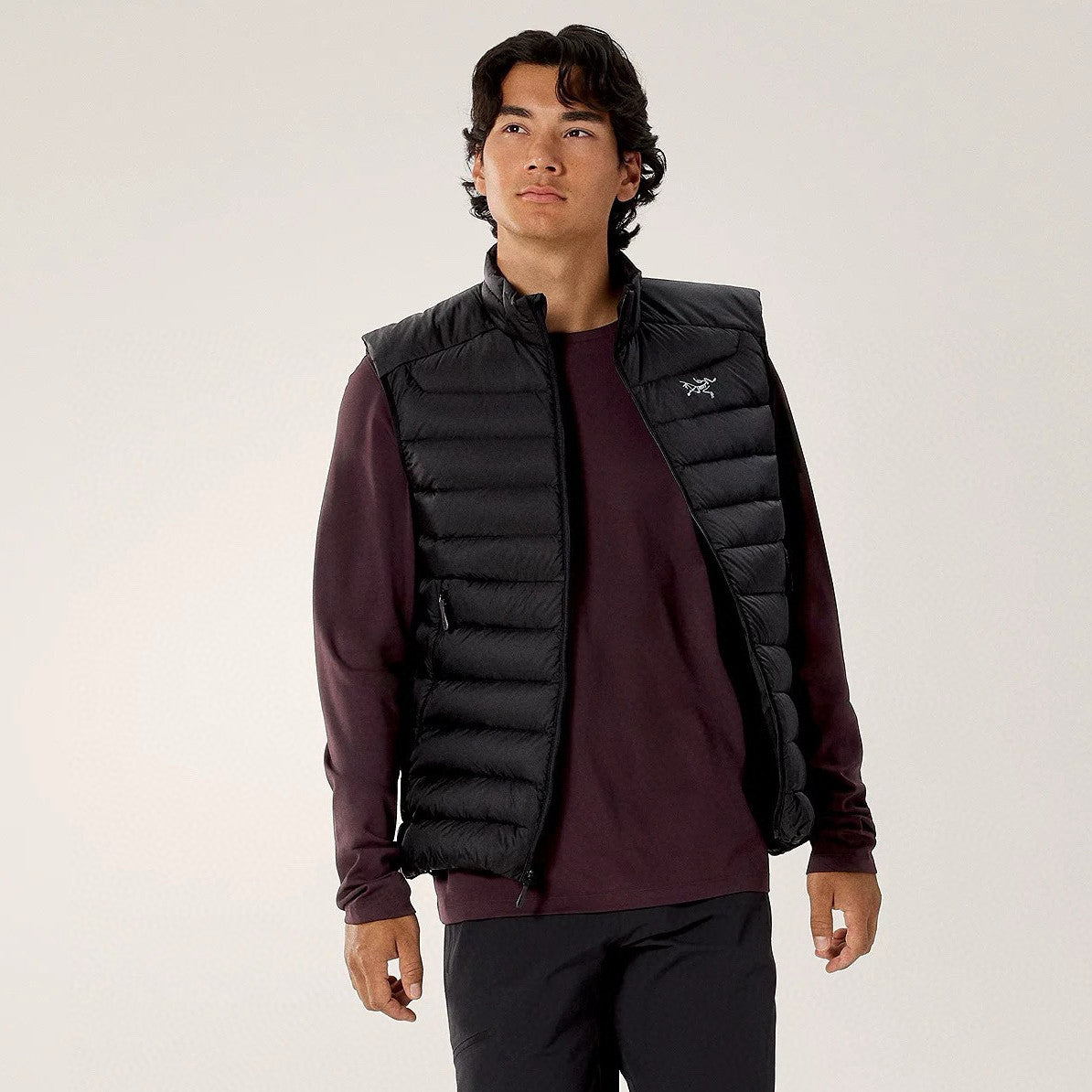 Arcteryx Men's Fall/Winter Fashion Casual High Neck Zipper Sleeveless Thermal Vest #79431