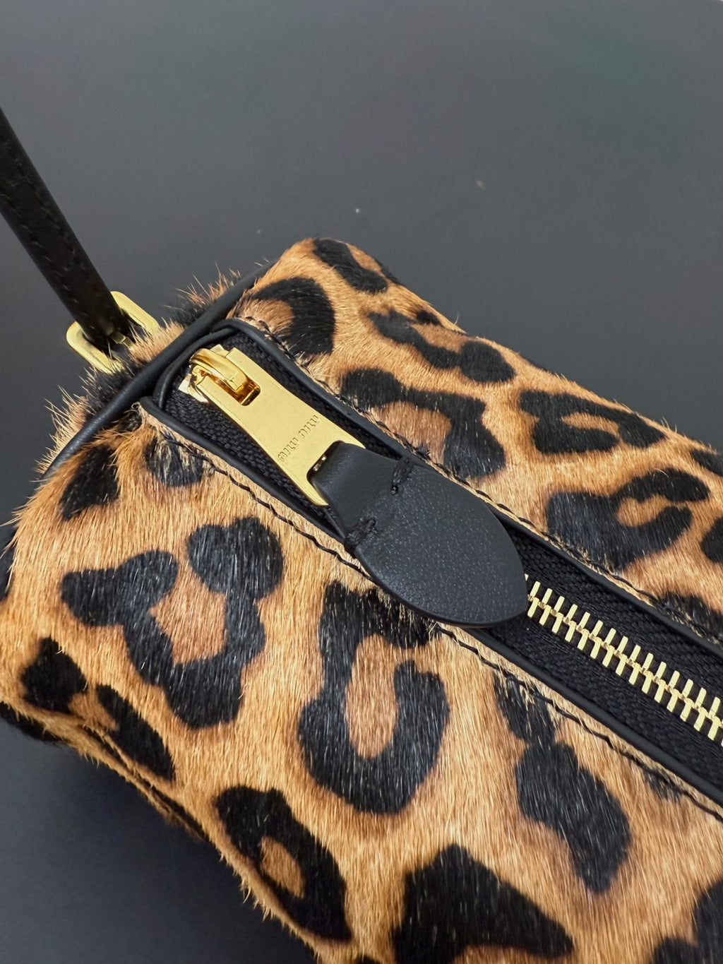 MiuMiu Honey Printed Leather Pouch #334715