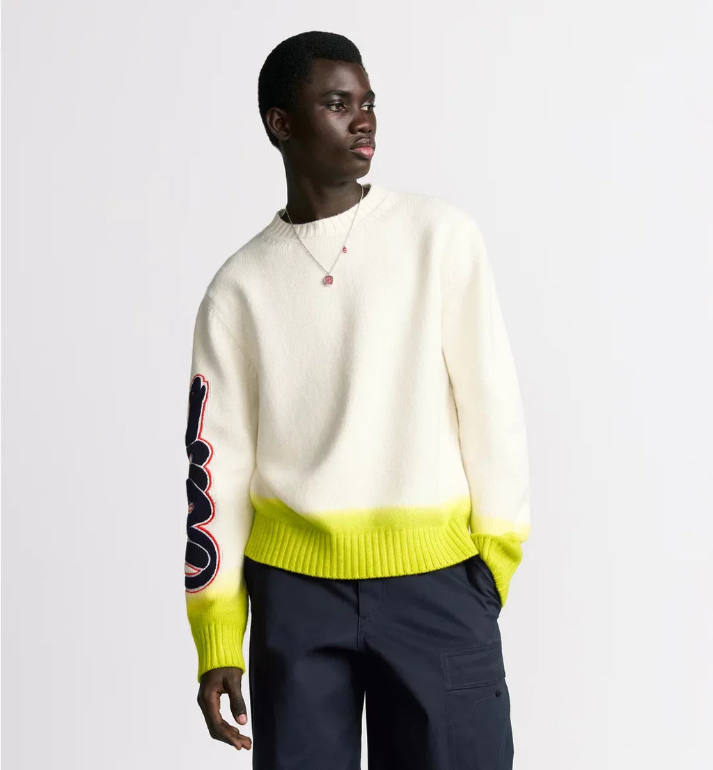 Dior Men's Dior And Kaws Sweater Spring. Fall And Winter Embroidered Crew Neck Gradient Long Sleeve Sweater #71836