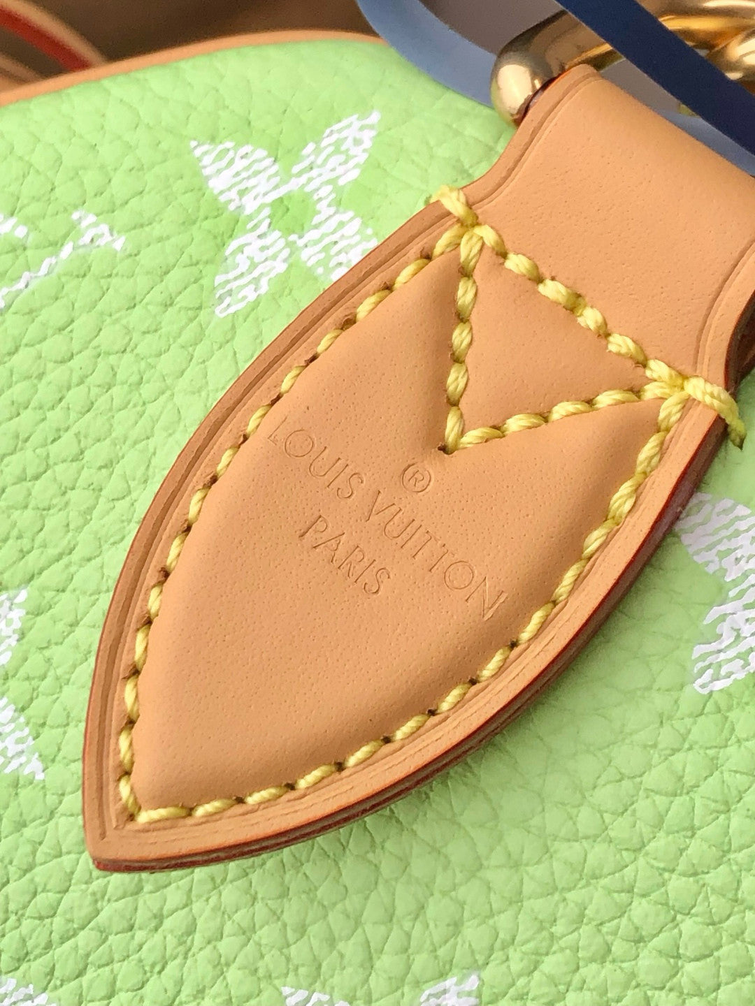 Louis Vuitton Women's Fashion Classic Avocado Green Logo Zipper Closure Leather Shoulder Bag Handbags In Small Medium And Large Sizes Crossbody Bag Bags #78663