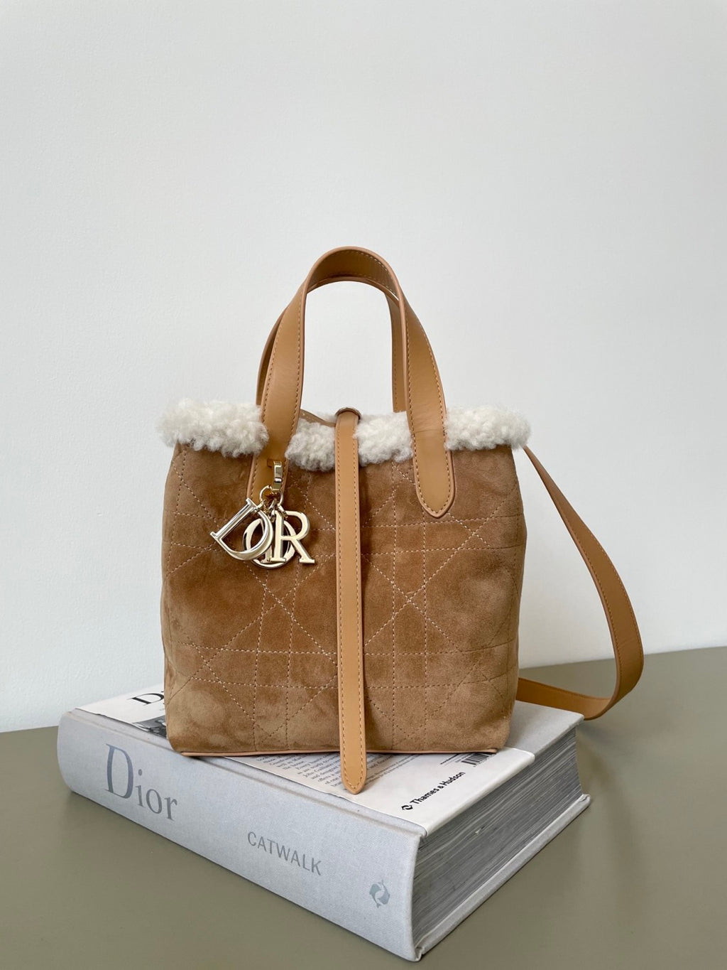 Dior Toujours Vertical Series Mini and Small Wool Model #333368