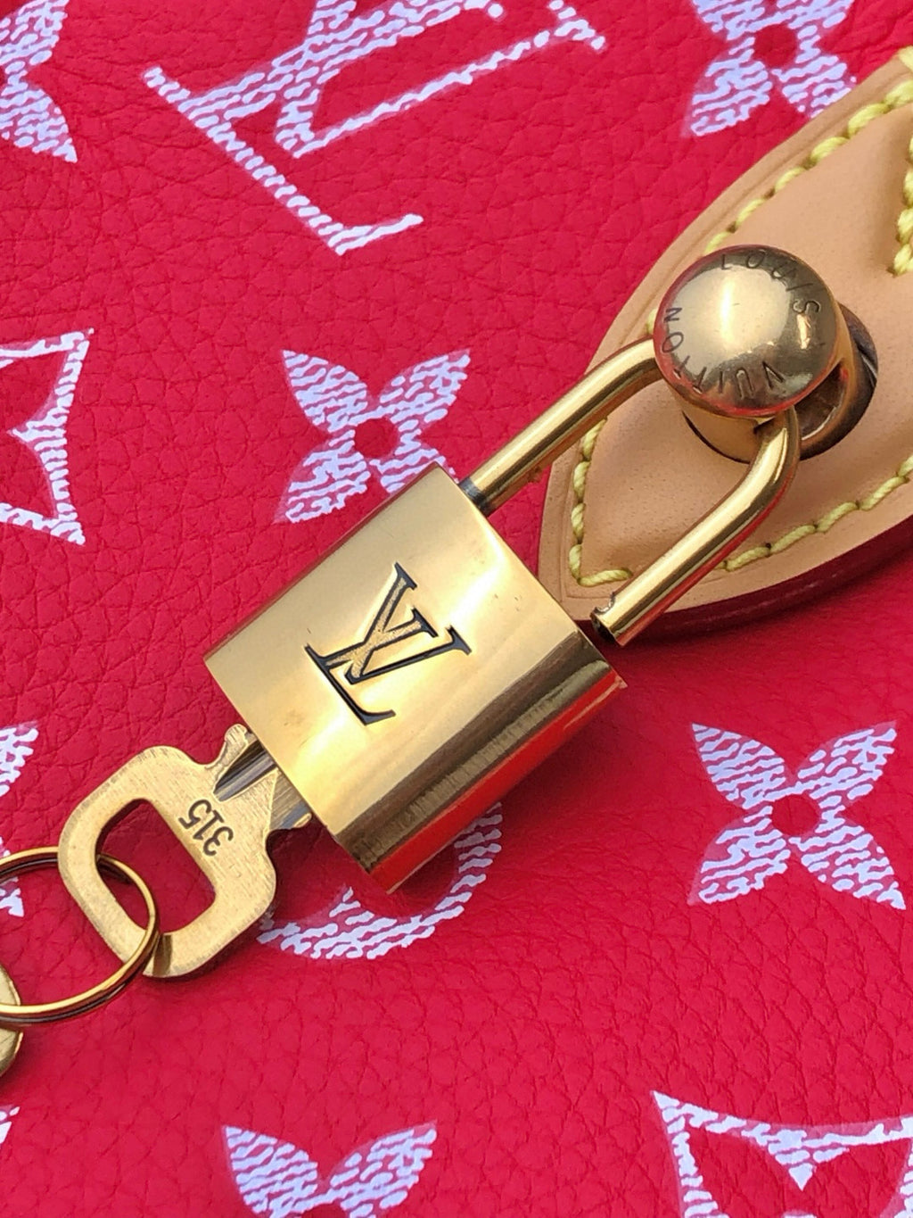 Louis Vuitton Women's Fashion Classic Red Logo Zipper Closure Leather Shoulder Bag Handbags In Small Medium And Large Sizes Crossbody Bag Bags #78658