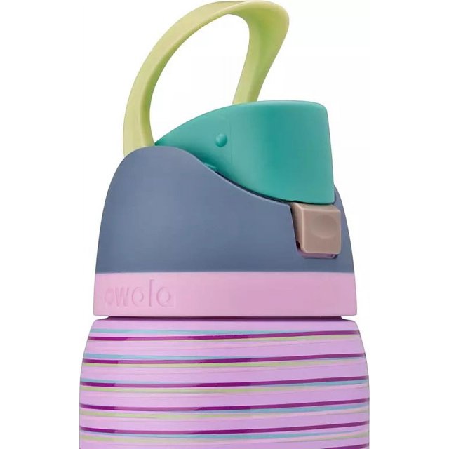 Owala 32 oz. FreeSip Stainless Steel Water Bottle - Technicolor