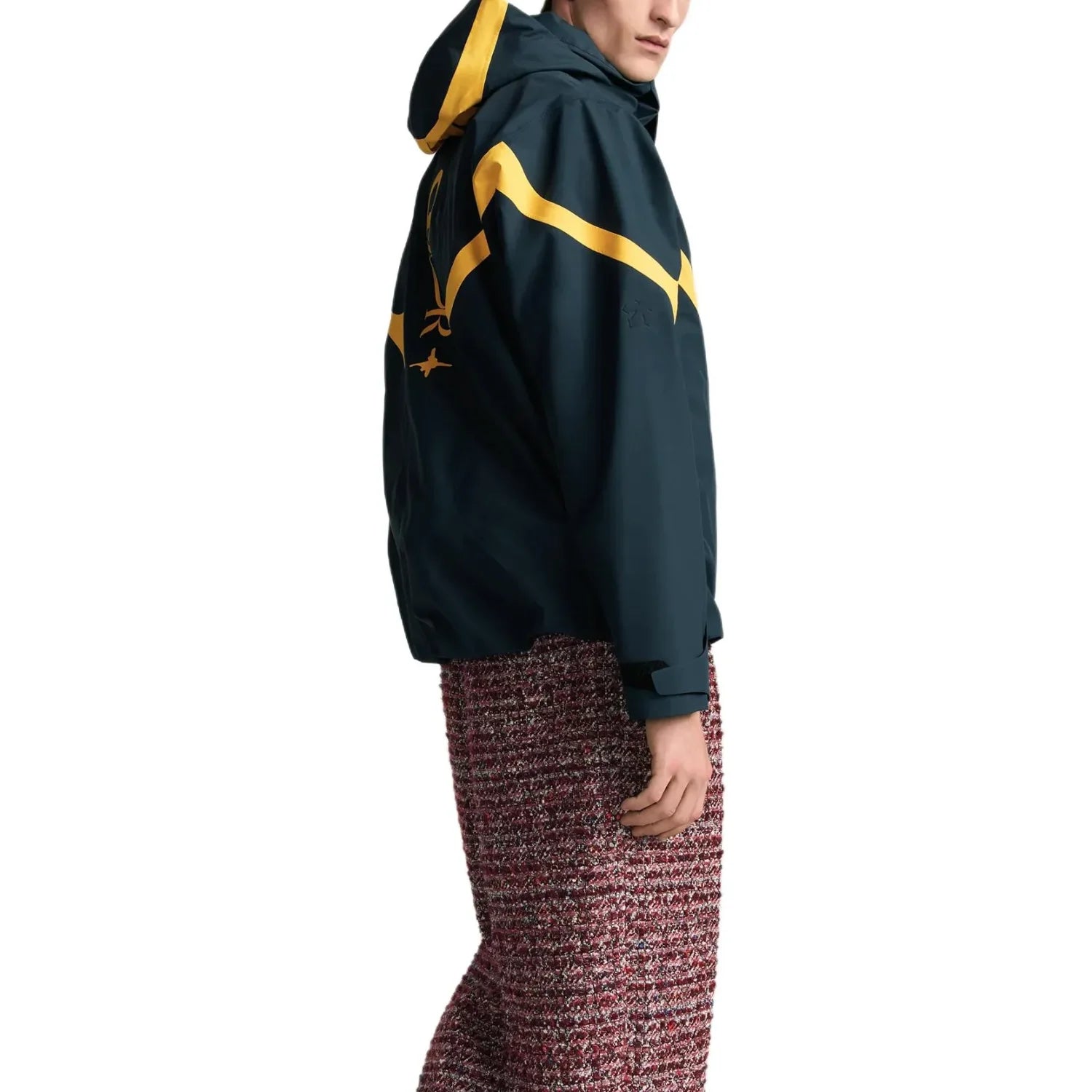 Dior Lewis Hamilton Ski Parka Pants #333838