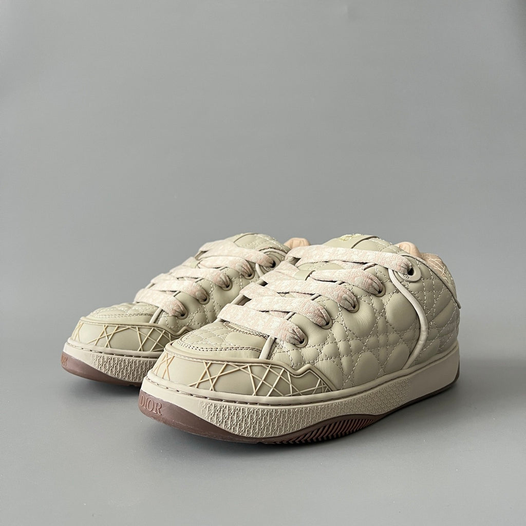 Dior B9s Skater Sneaker Limited and Numbered Edition #315016