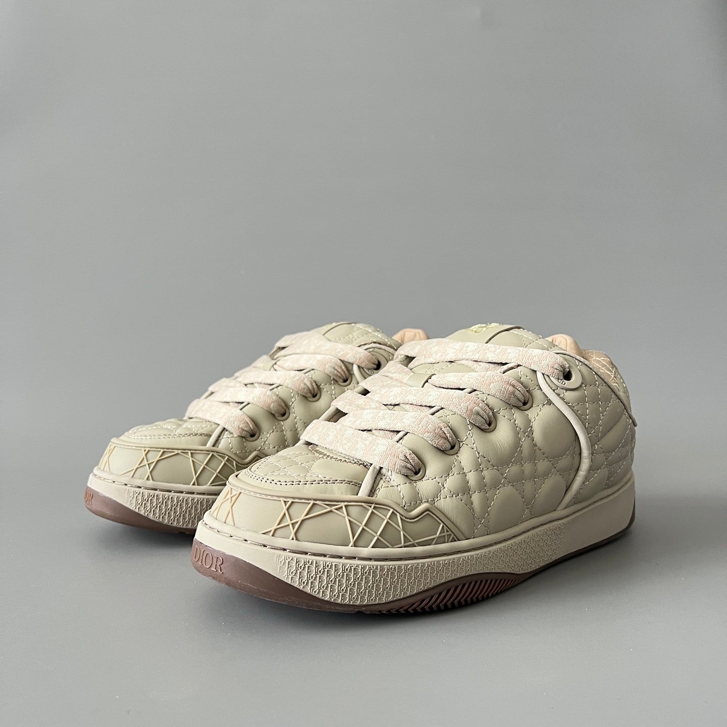 Dior B9s Skater Sneaker Limited and Numbered Edition #315016