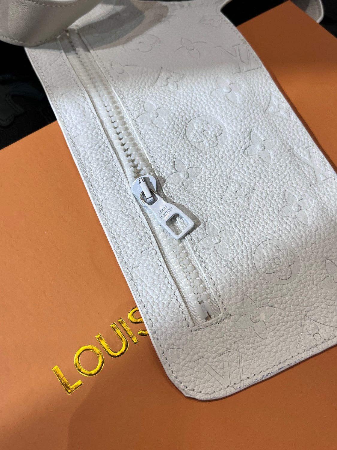 Louis Vuitton Leather Printed Vest With Accessories #22172