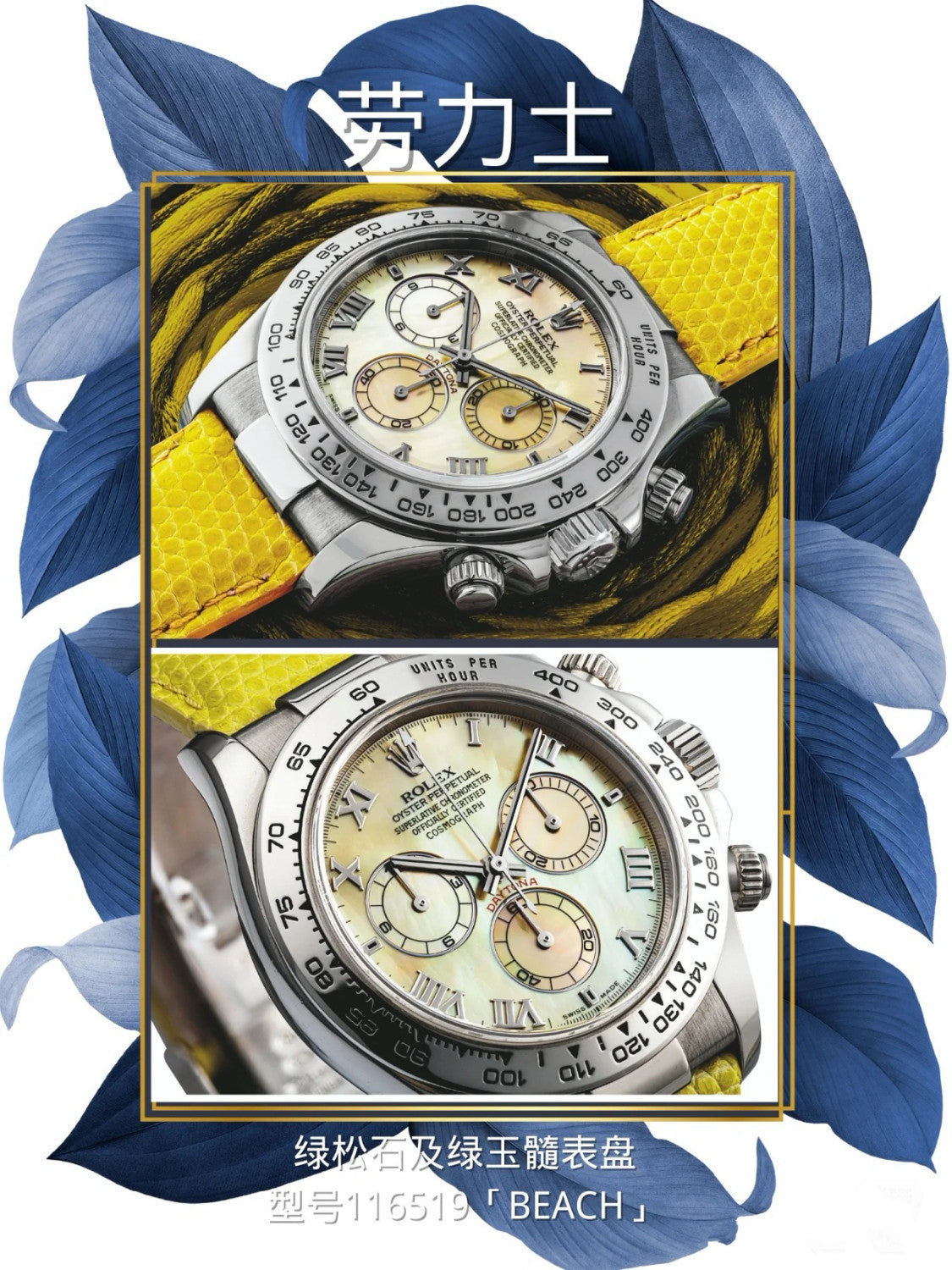 Rolex Men's Automatic Mechanical Movement 100 Meter Water Resistant Dial Watch #76563