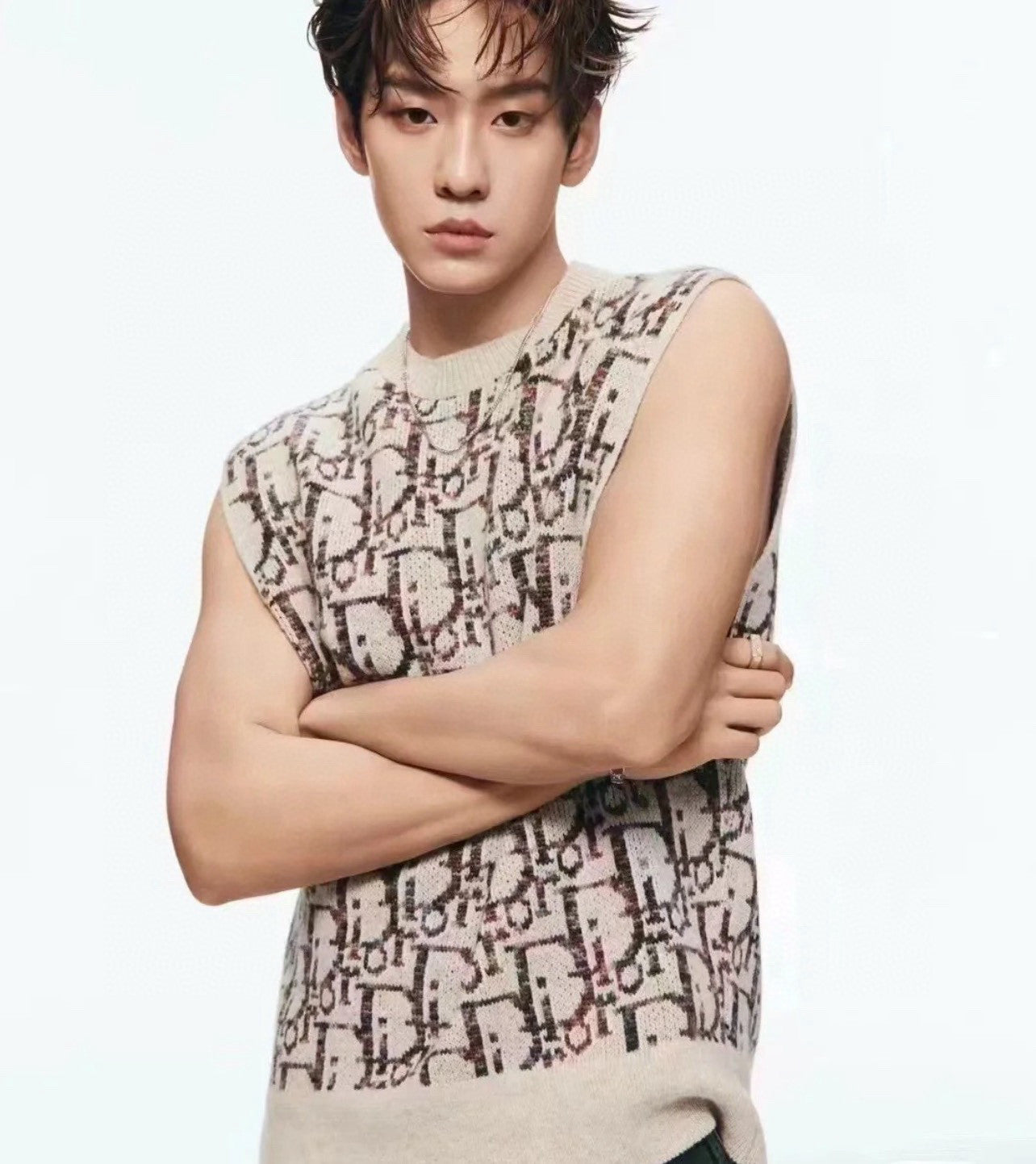 Dior Men's Summer Logo Jacquard Crew Neck Oblique Sleeveless Sweater knitted Vest #97554