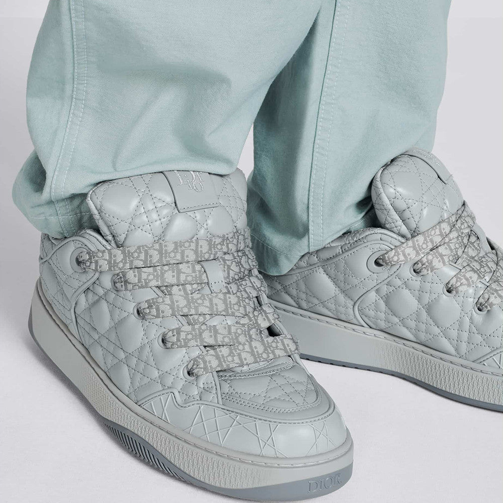 Dior B9s Skater Sneaker Limited and Numbered Edition #315016